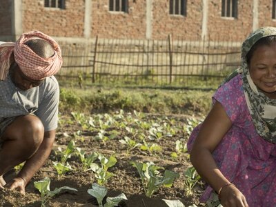 Man and woman working on a field