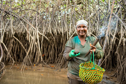 Afro-descendant woman stands in mud up to her waist with a green basket to collect shells