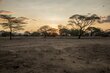 Zimbabwe's hunger crisis is part of an unprecedented drought gripping southern Africa. Photo: WFP/Matteo Cosorich