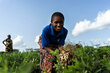 a woman farmer in the field